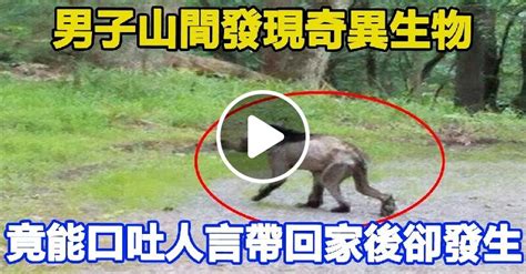 男子山間發現奇異生物，竟能口吐人言，帶回家後發生一幕令人終生難忘 Vivi視頻