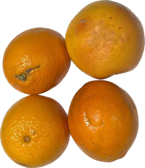 Imperfect Assorted Oranges Buy Online