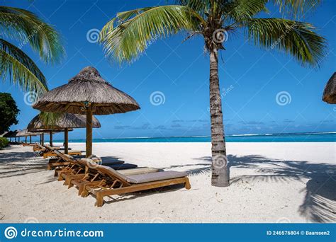 Tropical Beach With Palm Trees And White Sand Blue Ocean And Beach Beds