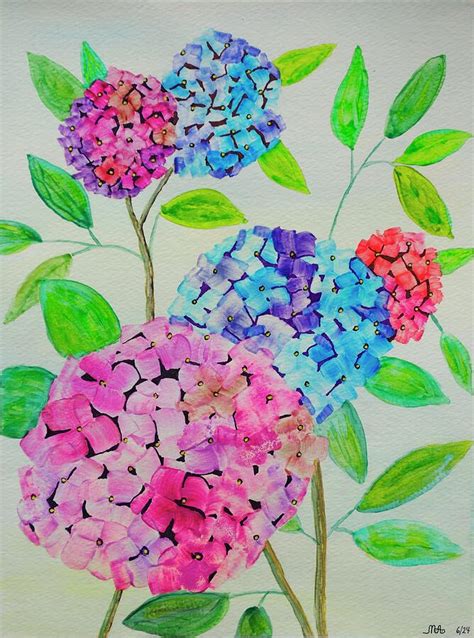 Hydrangeas Photograph By Mick Anderson Fine Art America