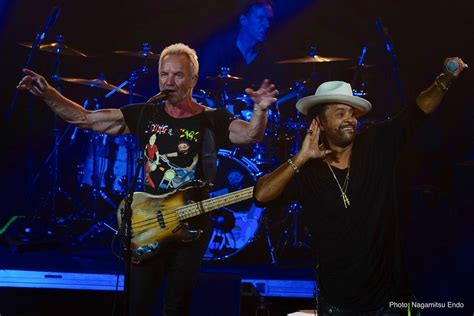 Sting & Shaggy Concert Footage to Debut in NHK and Sony's 8K Theater at ...