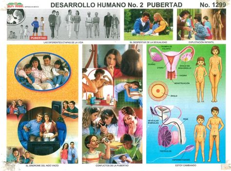 Monografía de Desarrollo Humano Nº 2 Pubertad de Sun Rise Monografias