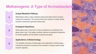 Introduction To Archaebacteria And Its Structure Ppt Pptx