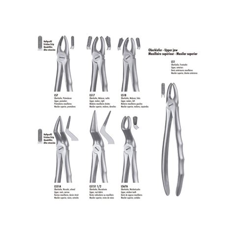 Ls Forceps Incisivo Canino Superior Liquidsteel