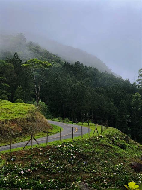 hz frequency benefits ez manifesting