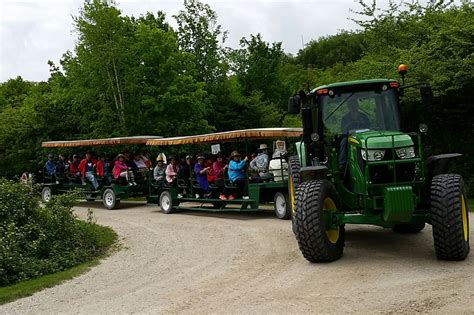 Tractor Wagon Rides Scenic Caves Nature Adventures Blue Mountains