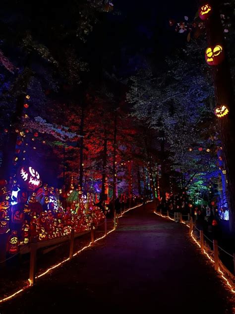 Road Trip Worthy Jack O Lantern Spectacular In Louisville