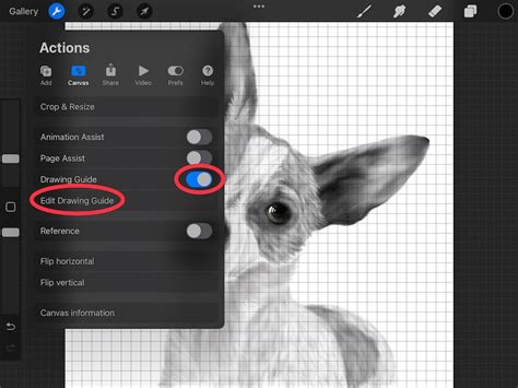 How to Make Grids in Procreate with Drawing Guides - Adventures with Art