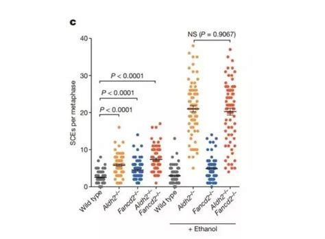 破壞dna、致癌喝酒真的沒有好處嗎？ 每日頭條