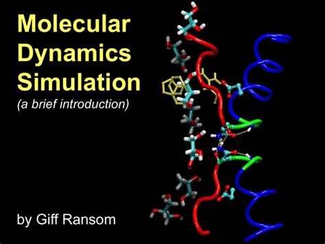 Molecular Dynamics Simulations