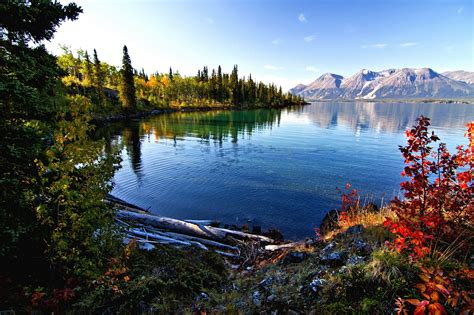 Wallpaper Landscape Forest Fall Leaves Mountains Lake Nature