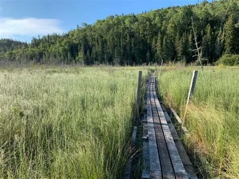 Best 10 Hiking Trails in Pukaskwa National Park | AllTrails