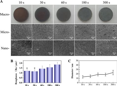 Morphology Characterization Of The Hierarchical Micro Nano Structure A