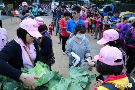 立委何欣純認購3千顆高麗菜 際行動挺菜農 生活 自由時報電子報