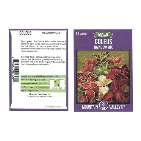 Rainbow Mix Coleus Seeds 100 Seed Packet Decorative And Ornamental