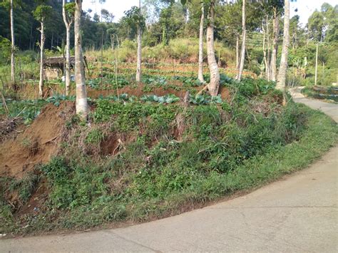 Aset Desa Dan Tanah Bengkok Harus Dikelola Dengan Baik Dan Benar