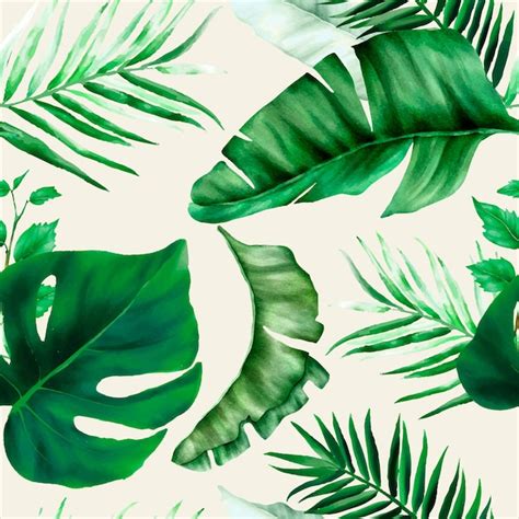 Folhas Tropicais Verdes Elegantes Sem Costura Padr O De Aquarela