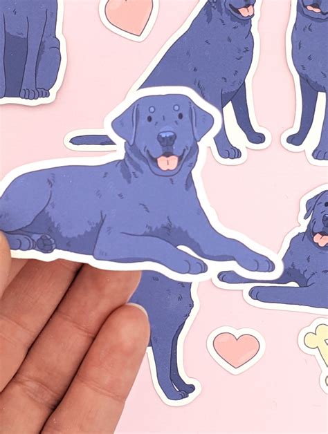 Black Lab Stickers Black Labrador Stickers Labrador Etsy