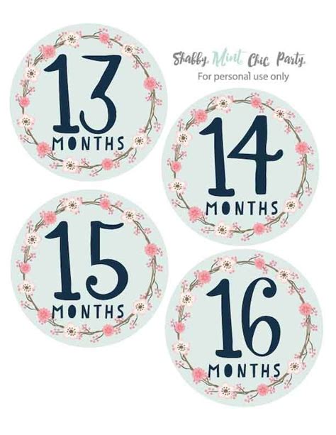 PRINTABLE.Baby Monthly Milestones.Months 13-24. Baby Milestone Stickers ...