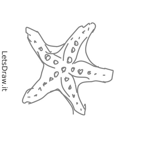 How To Draw Starfish Tpjzboqap Png Letsdrawit