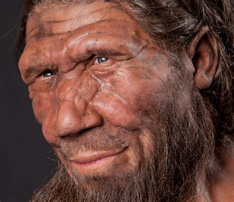 Neanderthal Man Face