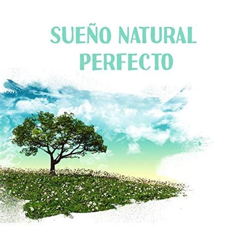 Play Sue O Natural Perfecto Sonidos Relajantes Para Un Sue O Profundo