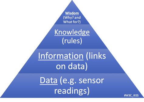 Climbing the DIKW pyramid – do we have everything we need? | Open ...