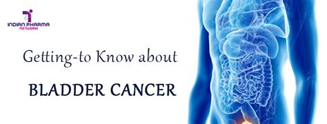 bladder cancer ipn delhi india