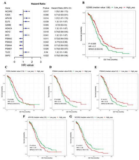 Medicina Special Issue The Role Of Tme In Cancer Treatment