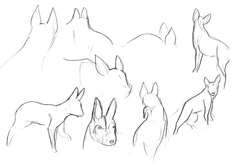 African wild dog sketches by Adele-Waldrom on DeviantArt