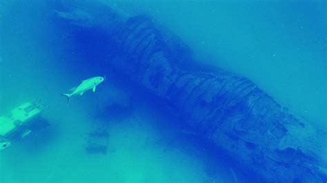 U-boat Wreck Dive: Photos of U-2513 | Nautilus Live