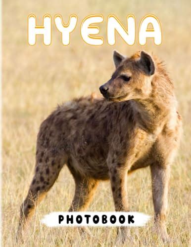 Hyena Photobook 40 Best Selected Images Of Hyaenas For Everyone To