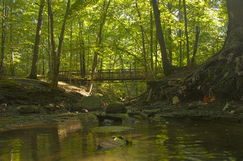 Activities — Lorain County Metro Parks