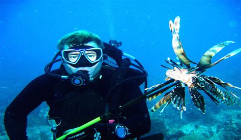 You Should Hunt The Invasive Lionfish To Help Save The Reef Rushkult