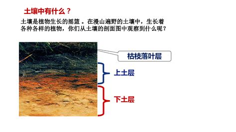 4 1 土壤的成分课件 28张ppt 21世纪教育网