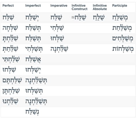 Chapter 27 Flashcards Quizlet