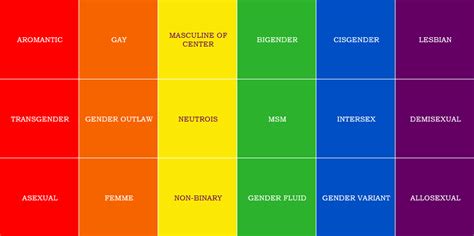 Sexual Orientation Types