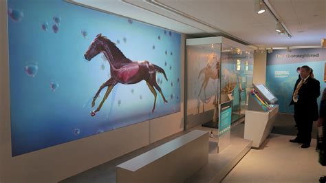 National Horse Racing Museum - Stephanie Caw