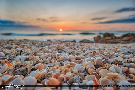 Sunrise With Shells At Beach Hdr Photography By Captain Kimo