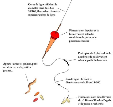 Guide Complet sur Comment Monter une Canne à Pêche avec Bouchon en