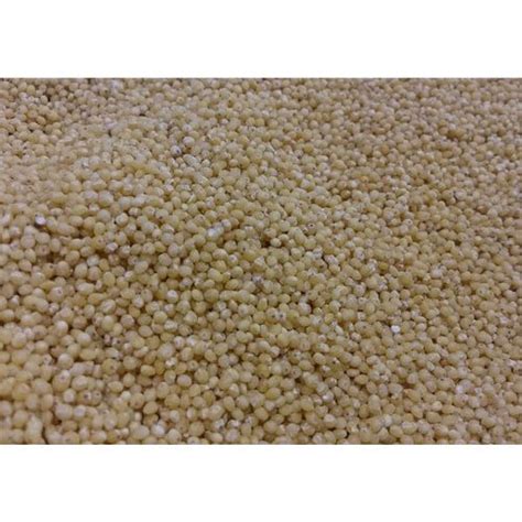 Pearl Millet Bajra For Food High In Protein At Rs Kg In Jaipur