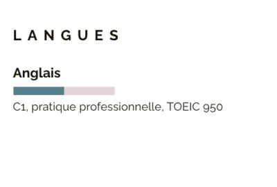 Comment Mettre En Valeur Son Niveau De Langue Dans Un Cv Fisio