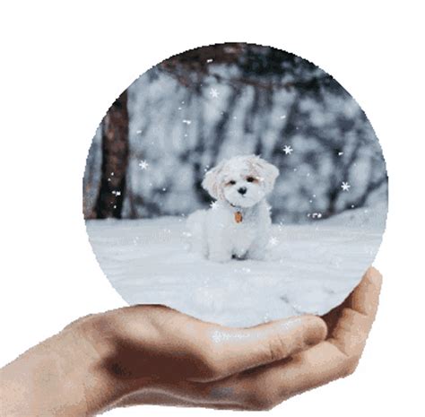 Winter Snow Sticker - Winter Snow Animated Sticker - Discover & Share GIFs