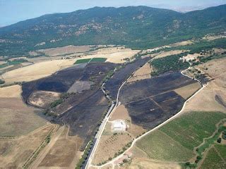 Citt Nuove Corleone Bosco Della Ficuzza Il Tempestivo Intervento