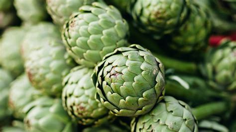 Артишок: самый вкусный и полезный цветок в мире