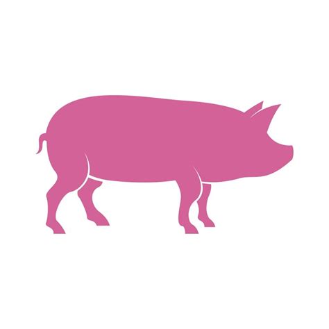 premium vector pig icon logo design concept illustration