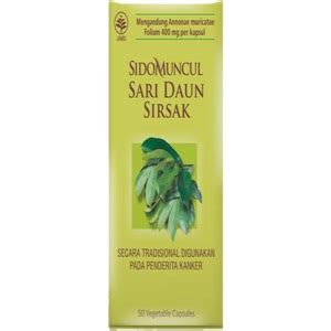 Obat Herbal Untuk Asam Urat Yang Ampuh Meredakan Nyeri Sendi