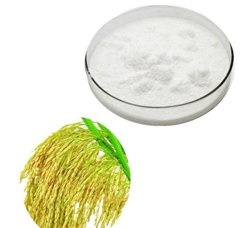 Ferulic Acid Manufacturer Supply Pure Rice Bran Extract Bulk Natural