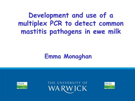 Ppt Development And Use Of A Multiplex Pcr To Detect Common Mastitis