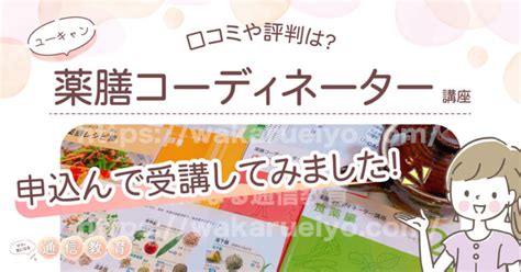 【薬膳コーディネーターと薬膳マイスターの違い】両方買った